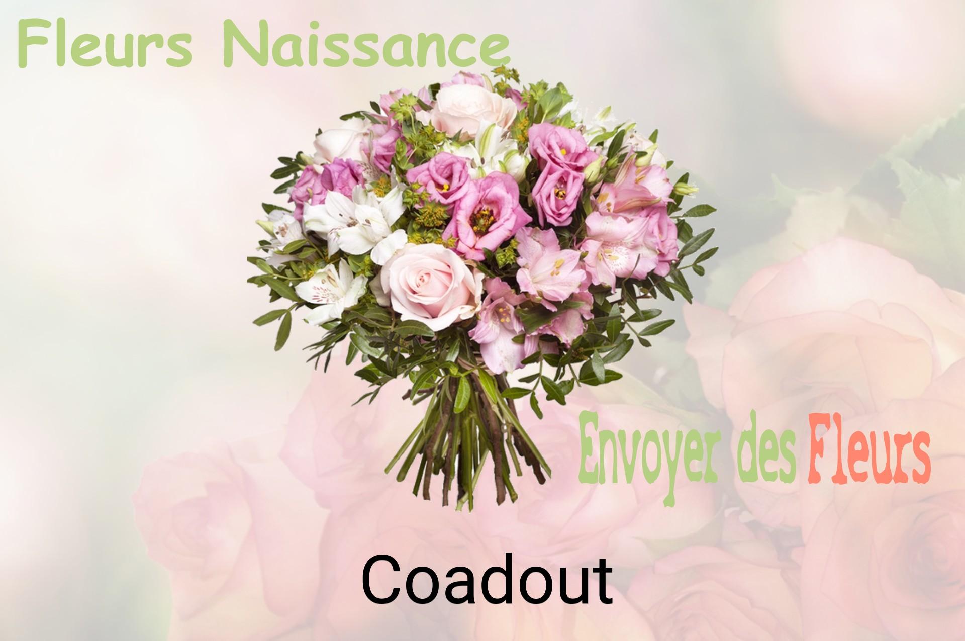 Bouquet de fleurs de naissance livré à Coadout